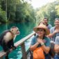 The Ultimate Monkey Island Tour in Panama City: Wildlife & Wonder (2026 Guide)
