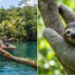 Monkey Island and Sloth Sanctuary Tour: The Ultimate Wildlife Combo Guide